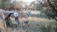 8 Day Serengeti Walking Safari