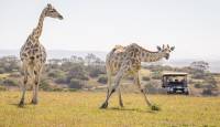 10 Day Garden Route Beach & Safari