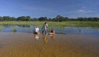 7 Day Okavango Delta & South Africa Safari & Beach Package 