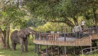 7 Day Best of Kenya Safari 