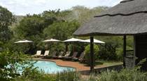 Zululand Tree Lodge