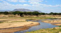 Ruaha National Park