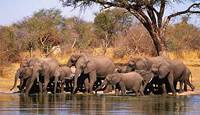 Hwange Game Reserve