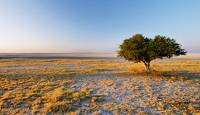 Makgadikgadi Pans