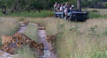 7 Day Luxury Safari - South Africa