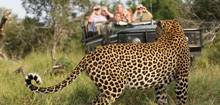 Leopard sighting at Mala Mala, South Africa