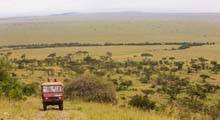 4 Day Kenya Safari - Masai Mara