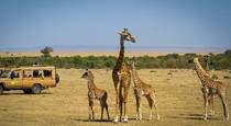 5 Day Kenya Safari