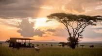 14 Day Best Of Tanzania Luxury Safari