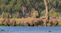 Sundown drinks, Sindabezi Island Lodge, Zambia