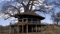 Lake Manyara Tree Lodge