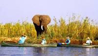 Lower Zambezi National Park