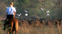 Horseback Safaris - Okavango Delta, Botswana