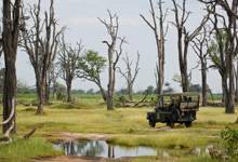 Xaxanaka Camp, Okavango Delta 