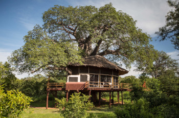 Tarangire Treetops Lodge, Tarangire National Park, Tanzania
