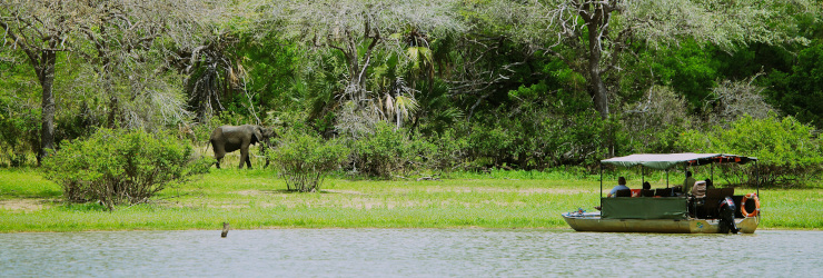 A great way to see the Nyerere National Park is on a boating safari