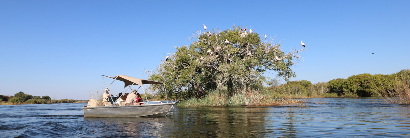 A river cruise along the Chobe River, Ichingo Chobe River Lodge