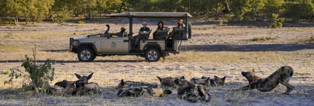 Game drives with Savuti Safari Lodge