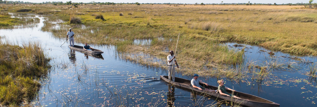 Mokoro ride in the Delta