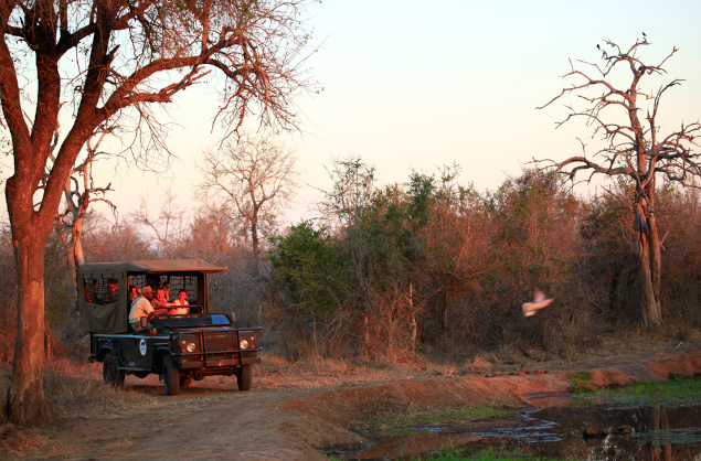 Game viewing in the Hlane Royal national Park