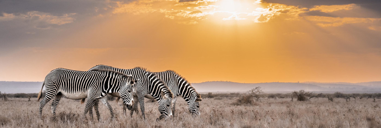 Sunset in the Mugie Conservancy