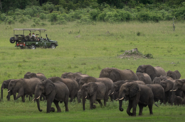Hwange is home to large herds of elephants, Sable Valley Lodge