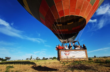 Hot Air Balloon landing in the Cape Winelands