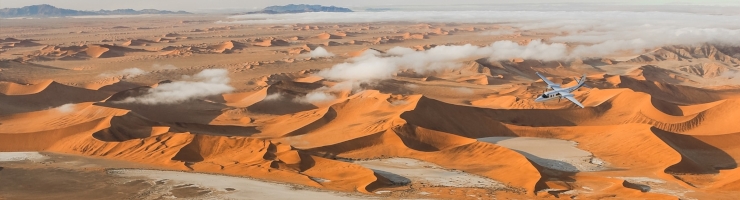 Fly in Safari, Namibia