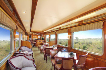 Relaxing Observation/Lounge Car