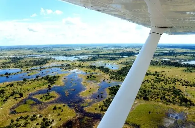 Aerial approach in the Okavango Delta, Botswana