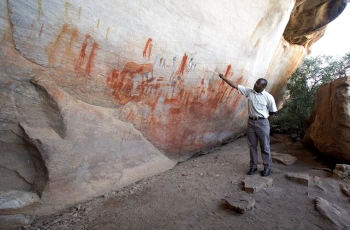 San Rock art seen at Bushmanskloof Wilderness Reserve