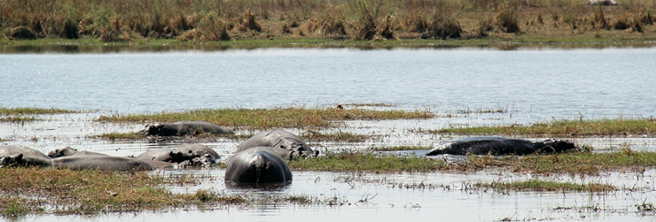 River views in the Caprivi Strip