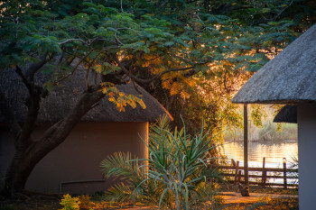 Garden view at Chobe Safari Lodge
