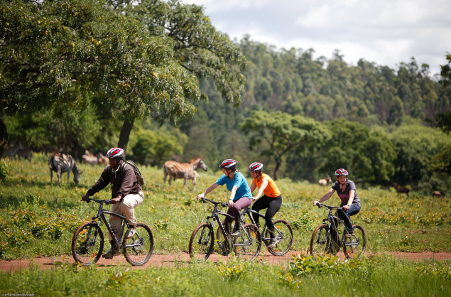 Bike rides though the Mlilwane Wildlife Sanctuary, Big Game Parks