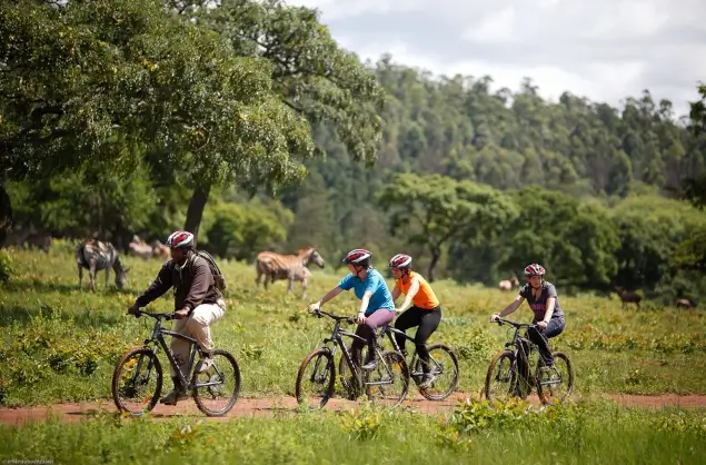 Bike rides though the Mlilwane Wildlife Sanctuary, Big Game Parks