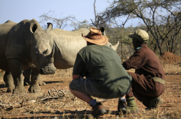 Rhino sighting at Mkhaya Game Reserve, Big Game Parks