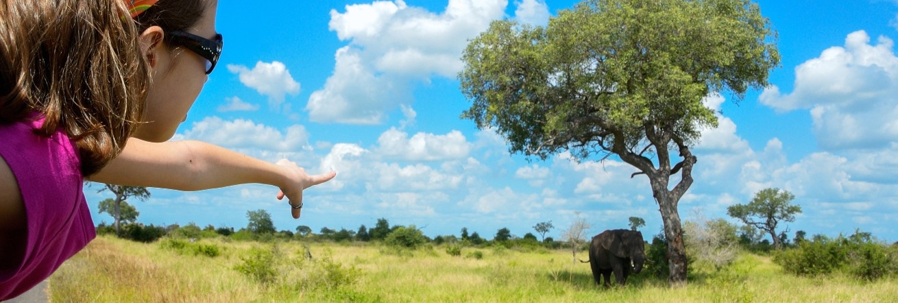 Family Safari Holidays, Kruger National Park