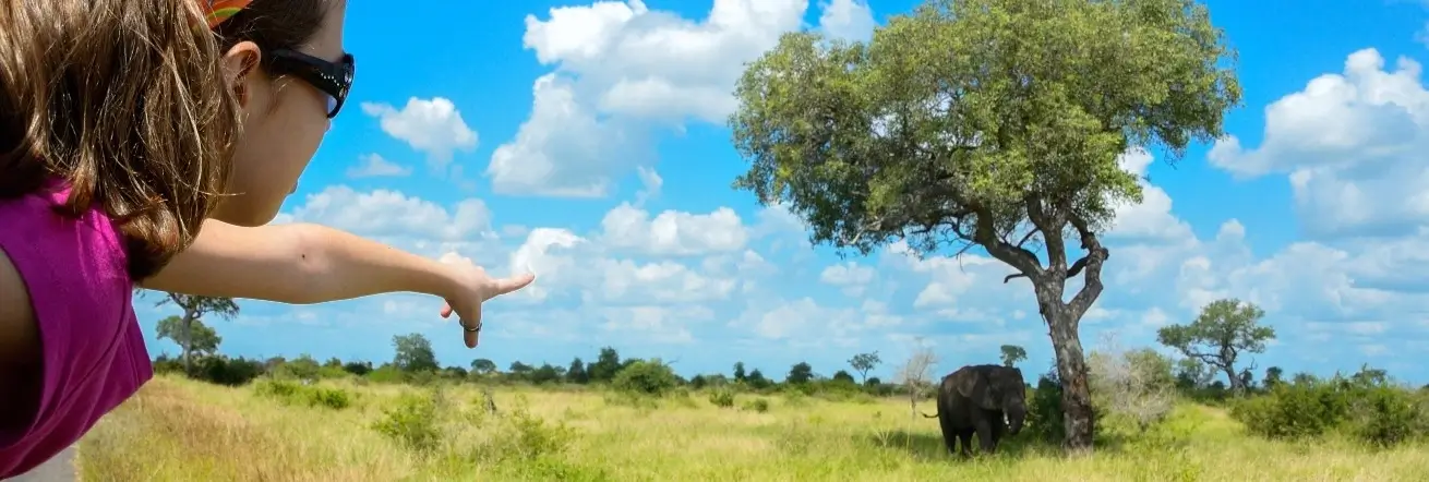 Family Safari Holidays, Kruger National Park