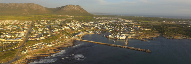 View of the Gansbaai Harbour, where your whale cruise starts from