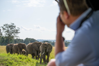 Elephant sighting at Governors Camp