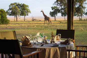 Game viewing during breakfast at Governors Camp