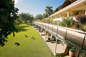 View on Ilala Lodge