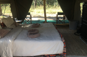 All the comforts of home deep within the Hwange National Park