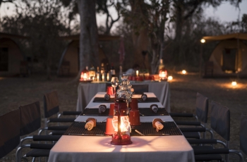  Dine under the African skies at Kweene River Camp