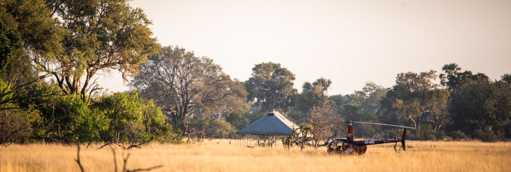 Arrive in the Okavango Delta by helicopter