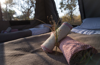 Cozy bedrolls in the tents to end your day on