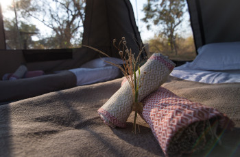  Touches of the outside bush reflected in the tents