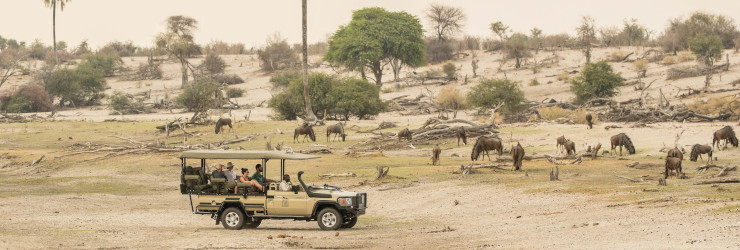 Game drive in the Makgadikgadi National Park