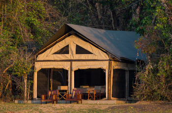 Luambe Camp, luxurious tents alongside the Luangwa River