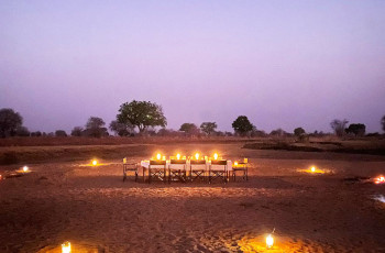  Dine along the Luangwa River as the sun begins to set